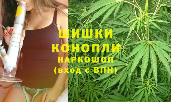 крисы Абдулино