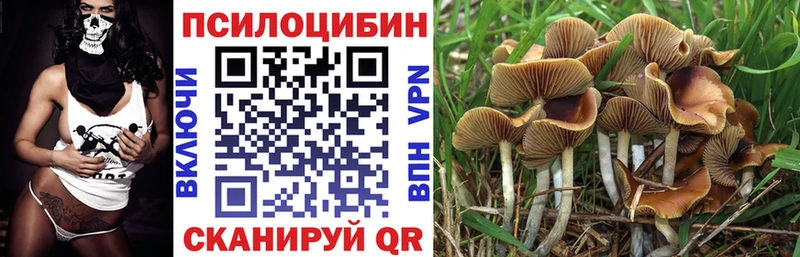 наркота  Питкяранта  Псилоцибиновые грибы Magic Shrooms 
